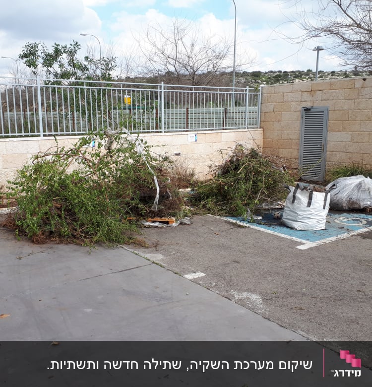 שיקום מערכת השקיה, שתילה חדשה ותשתיות.